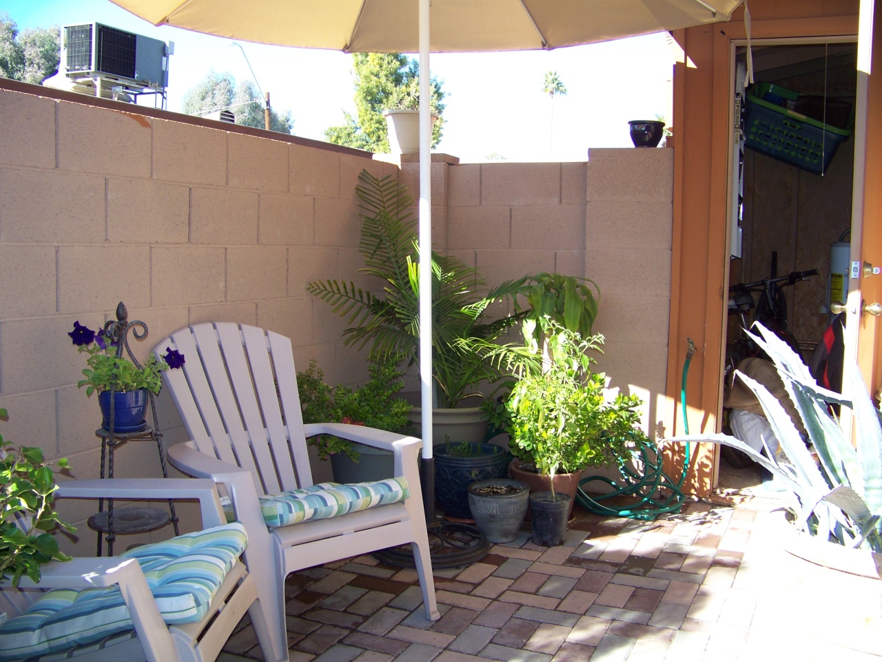 3402 North 32nd Street, Unit 102 Phoenix, AZ 85018 - Photo 22 of 24 PATIO AREA