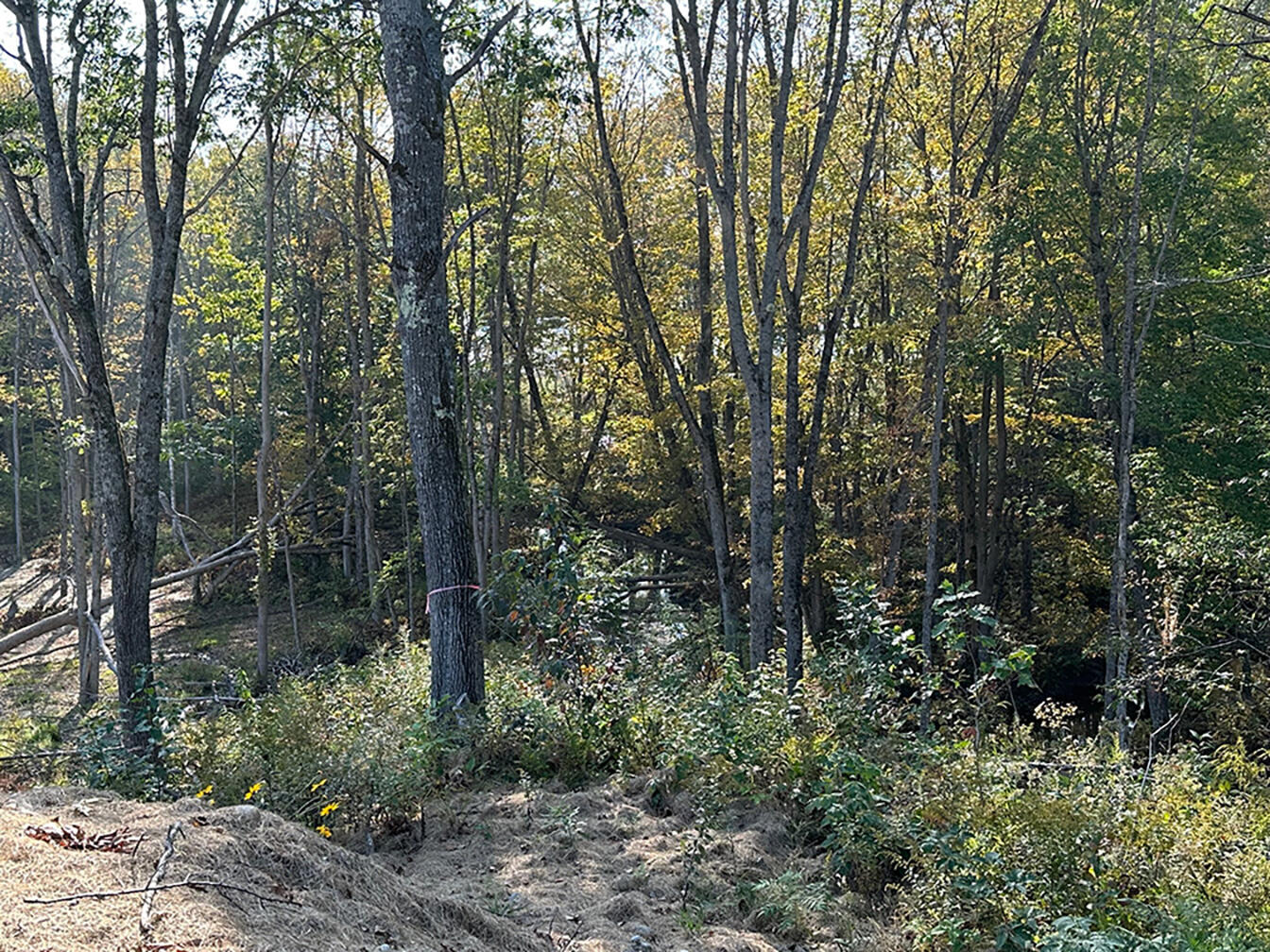 237 Old Cedar Grove Road Pittston, ME 04345 - Photo 16 of 29 2