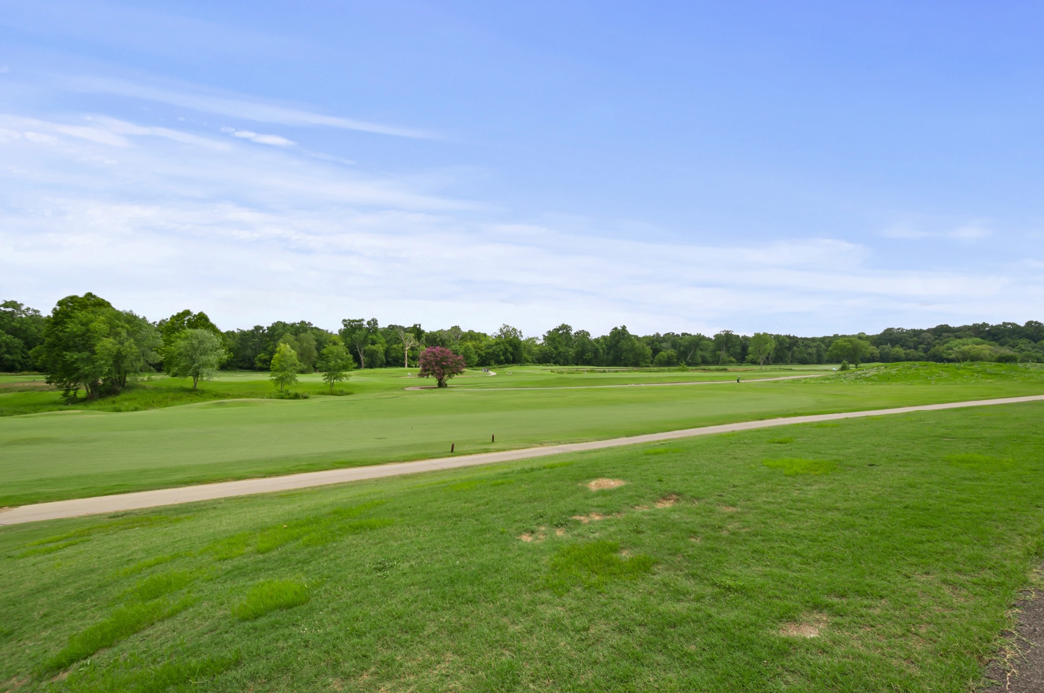 540 Ridgestone Drive Franklin, TN 37064 - Photo 54 of 67 Gallery Image 54