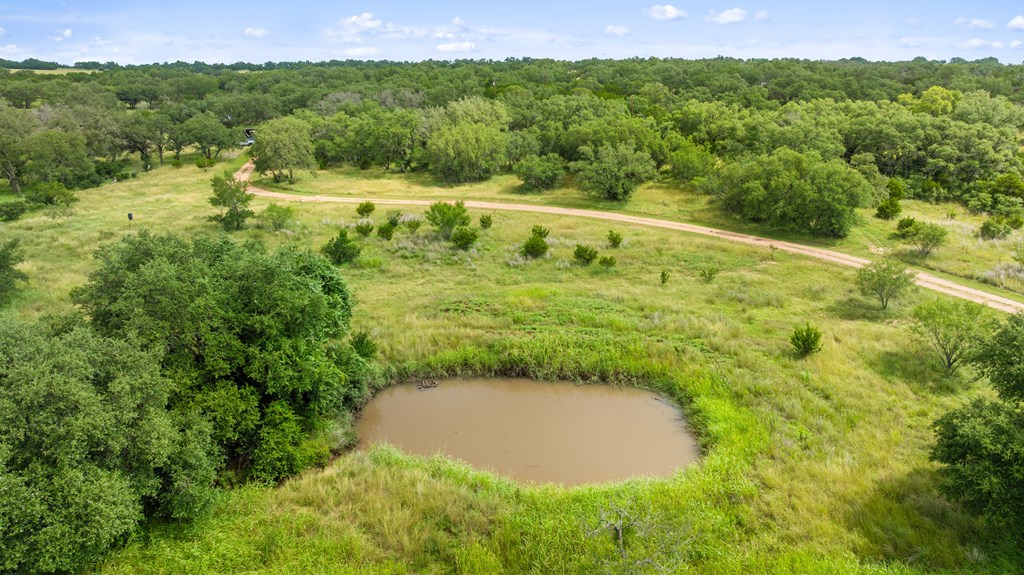396 Ranch Road 2721 Johnson City, TX 78636 - Photo 4 of 36 a view of a big yard with large trees