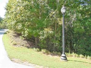 502 South Point Boulevard Sunset, SC 29685 - Photo 2 of 14