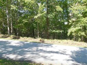 502 South Point Boulevard Sunset, SC 29685 - Photo 3 of 14