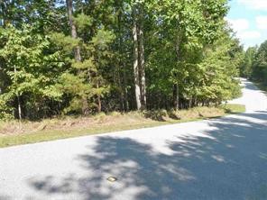 502 South Point Boulevard Sunset, SC 29685 - Photo 4 of 14