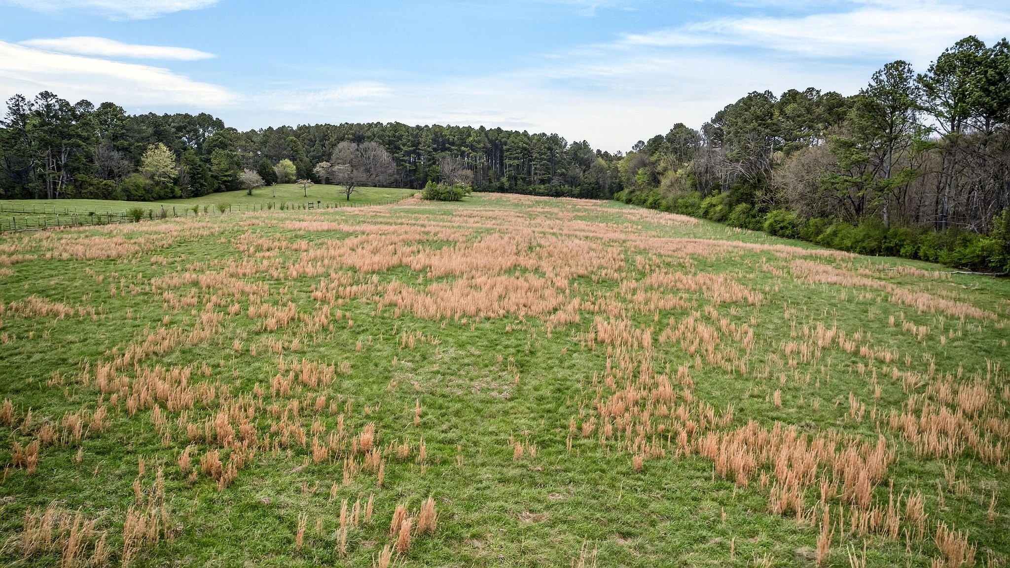 2181 Curbow Bridge Road Old Fort, TN 37362 - Photo 55 of 56 a view of an outdoor space and a yard
