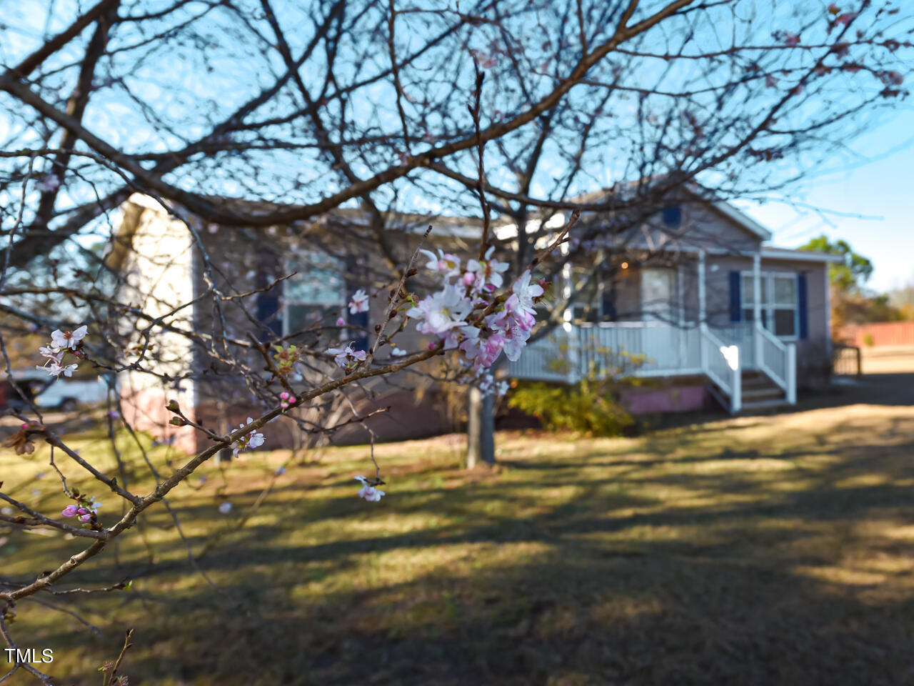 870 Wiggins Road Angier, NC 27501 - Photo 29 of 30 Exterior - front - tree - OK