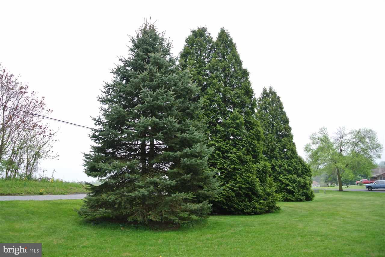 4248 Snavely Road Elizabethtown, PA 17022 - Photo 23 of 23 Gallery Image 23
