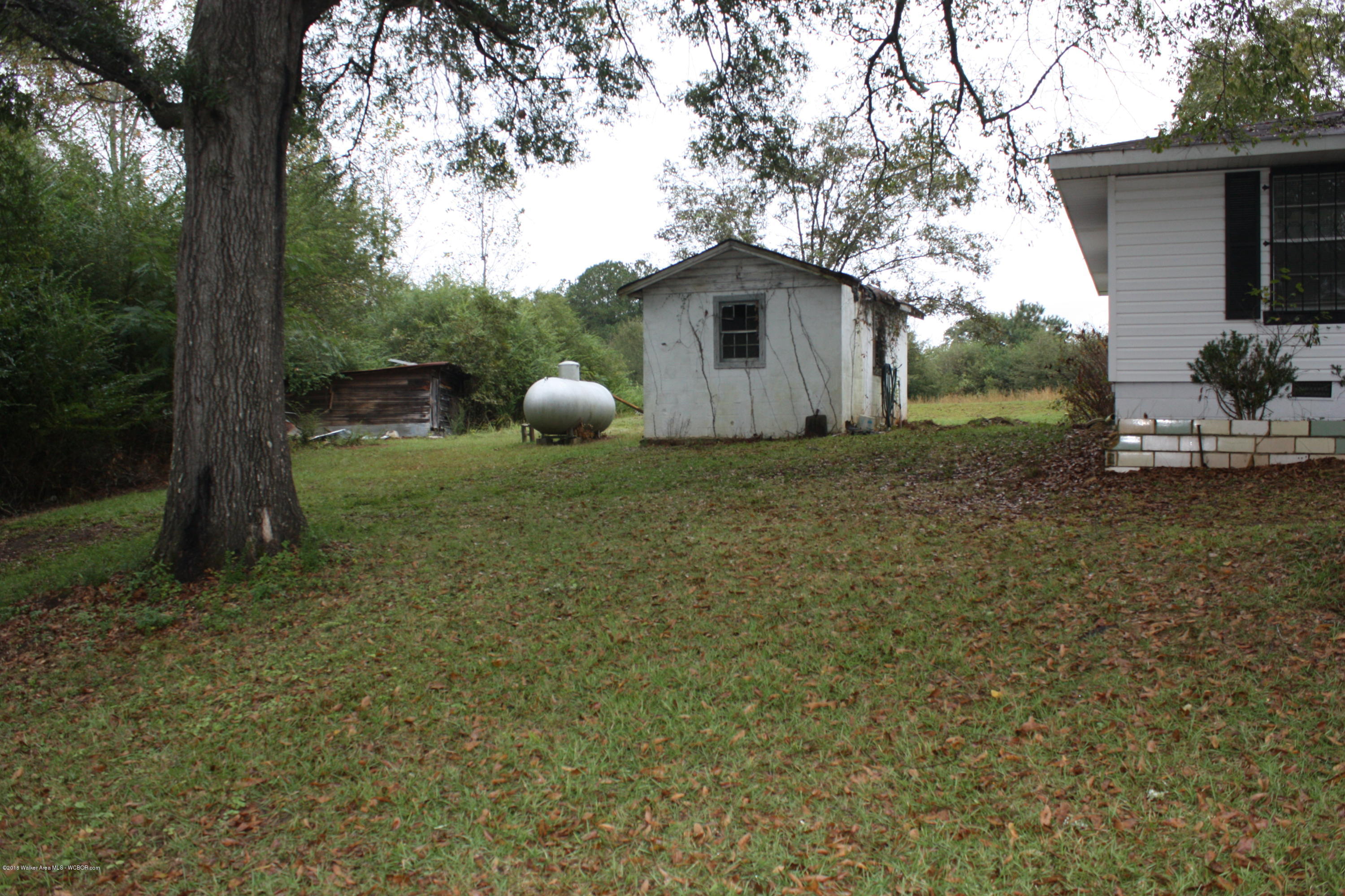 4724 Nauvoo Road Nauvoo, AL 35578 - Photo 7 of 20 Gallery Image 7