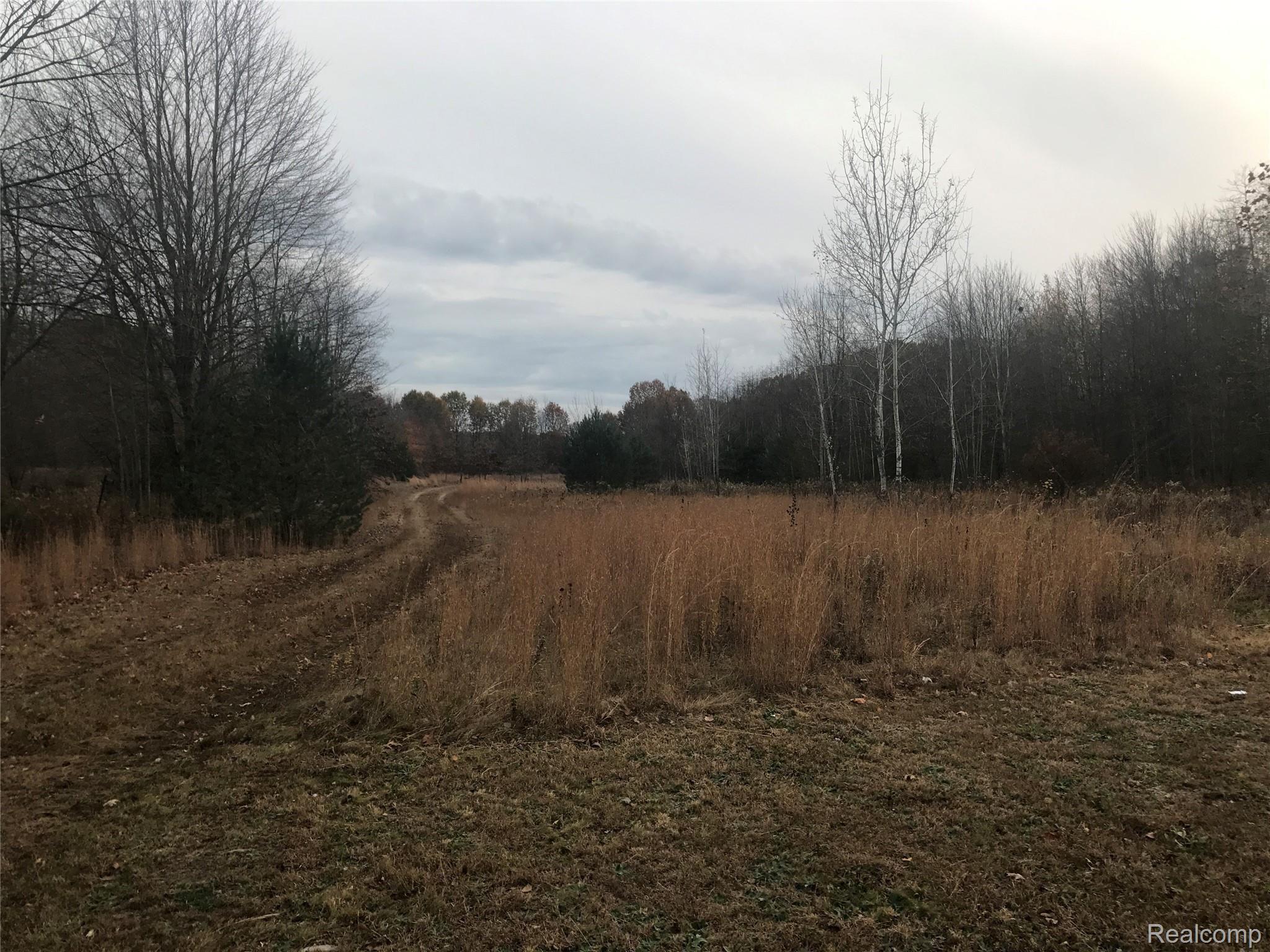 46645 Wear Road Belleville, MI 48111 - Photo 57 of 62 IMG_6612.JPG