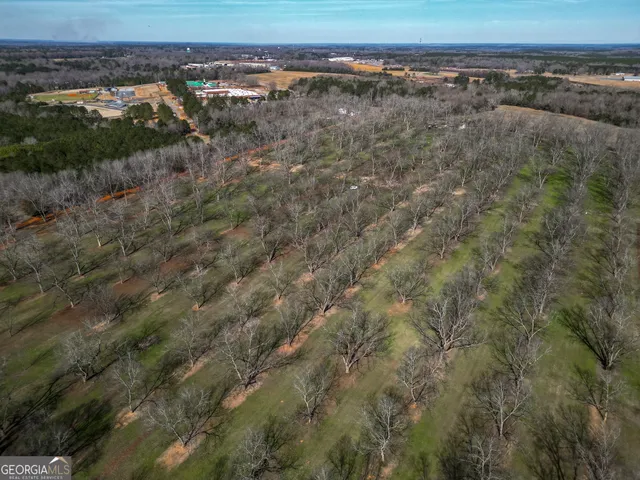 a view of a dry yard with trees