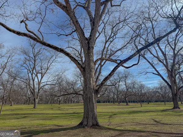 $360,000 | 0 Old Highway, Ellaville, GA 31806