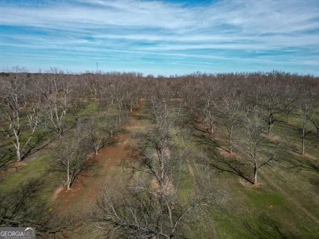 a view of outdoor space with trees