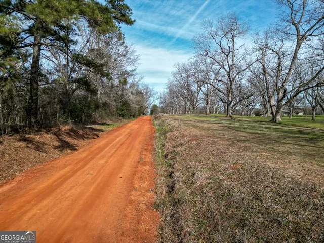a view of a park with large trees