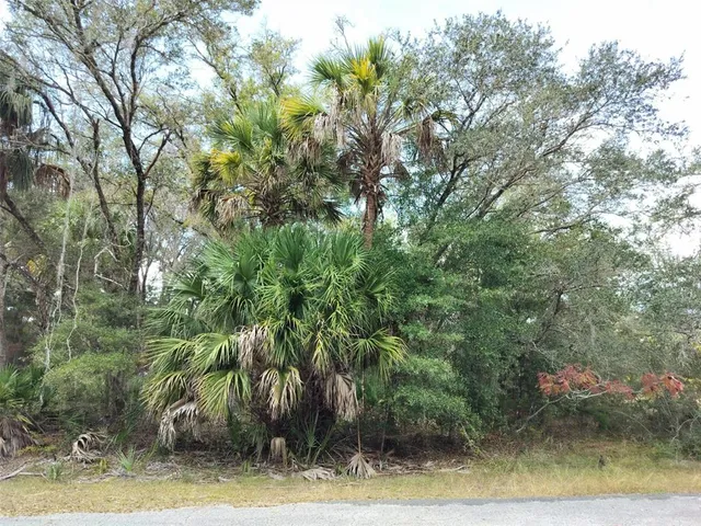 a view of a yard with plants