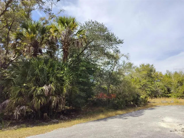 a view of a yard with plants and trees