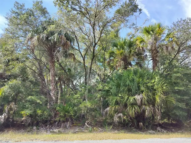 a view of a pathway with a yard