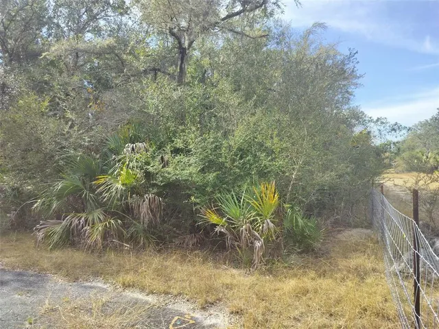 a view of a yard with a tree