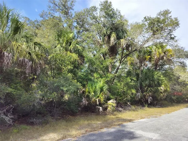 a view of a yard with plants and trees