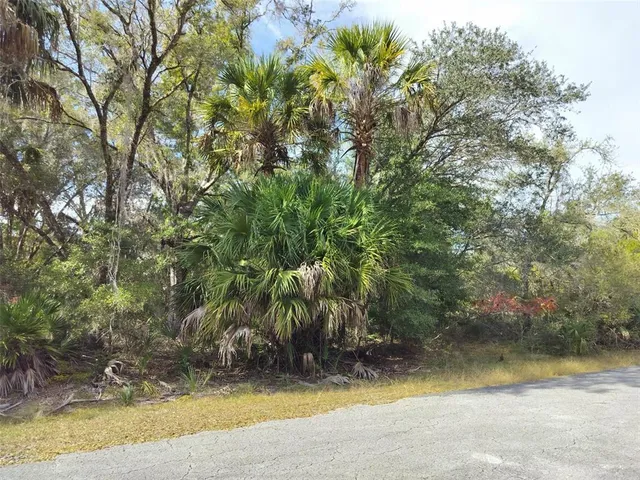 a view of outdoor space and trees