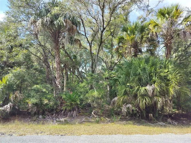 a view of swimming pool with a yard