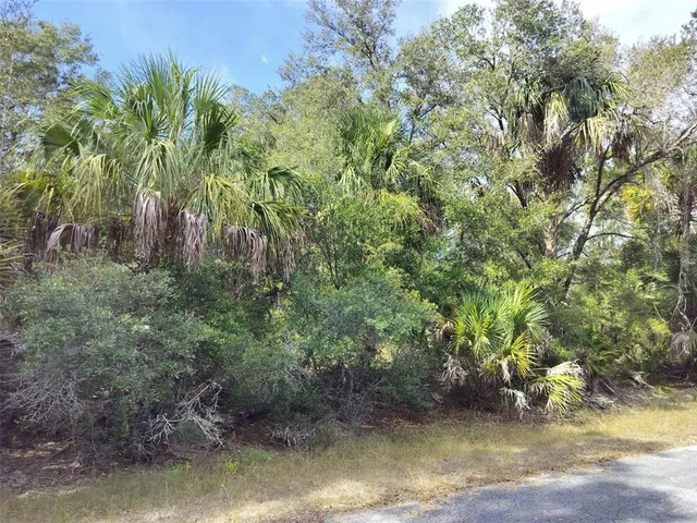 a view of a yard with a tree