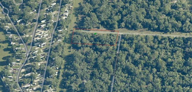 a view of a yard with a tree