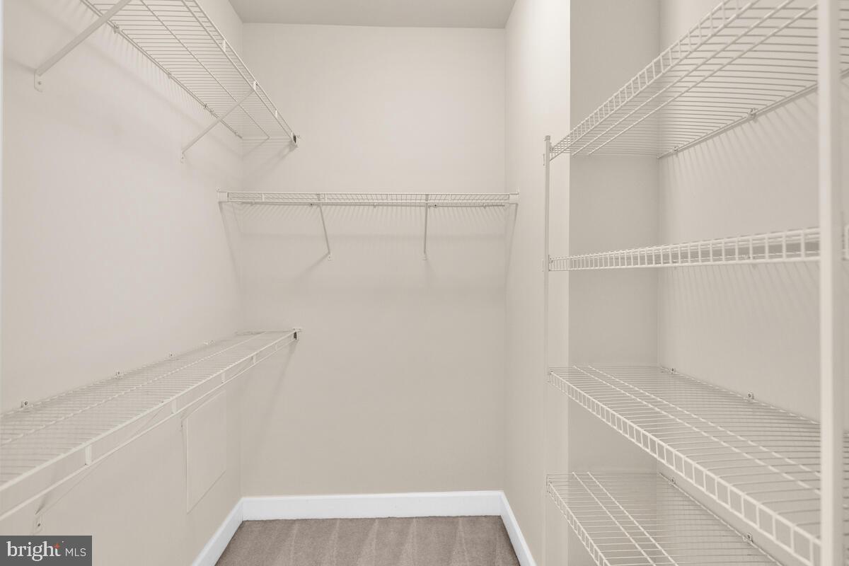 13626 Dover Cliffs Place Germantown, MD 20874 - Photo 21 of 32 a view of walk in closet