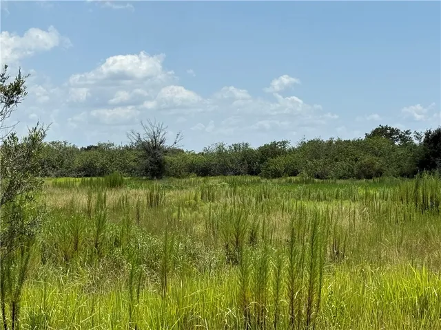 a view of lake with green space