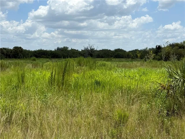 a view of lake with green space