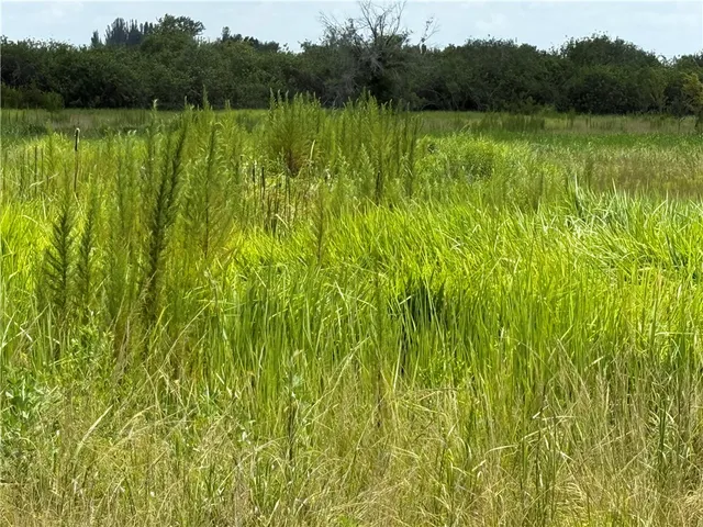 a view of a yard with a lake view