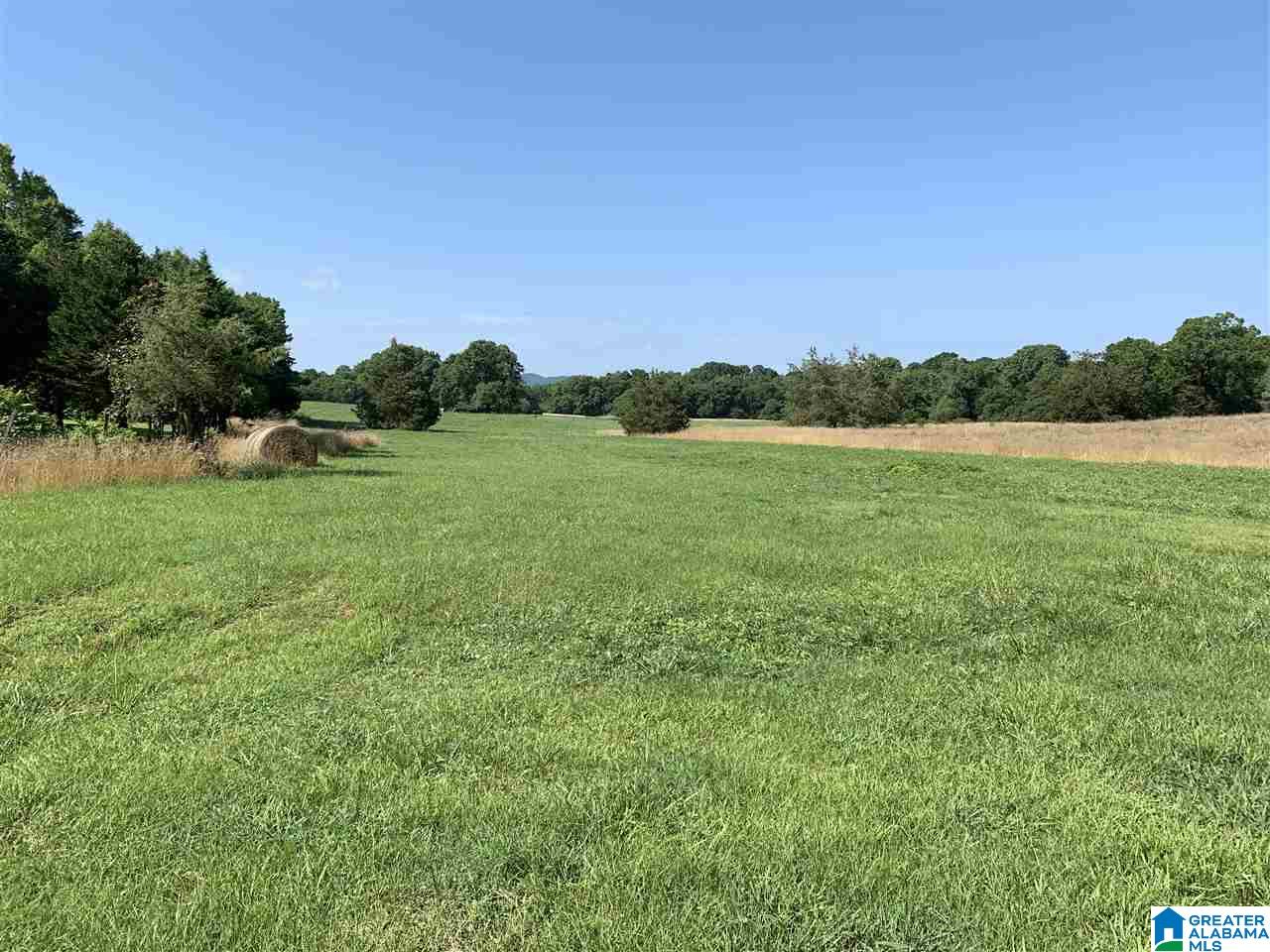 825 New Lincoln Road, Unit 1 Talladega, AL 35160 - Photo 1 of 8 Gallery Image 1