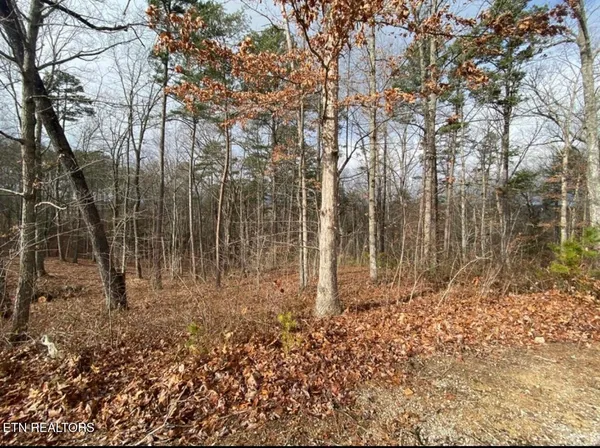 a view of backyard with green space