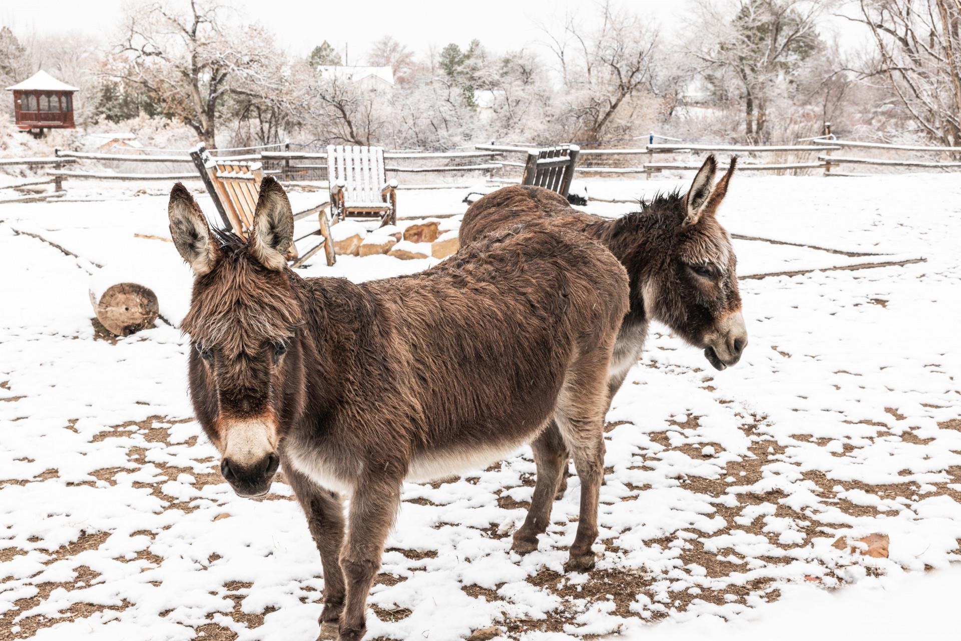 2619 H Road Grand Junction, CO 81506 - Photo 11 of 39