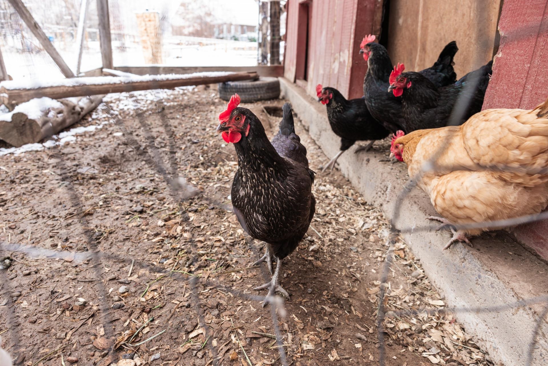 2619 H Road Grand Junction, CO 81506 - Photo 12 of 39 a view of a interior of the house