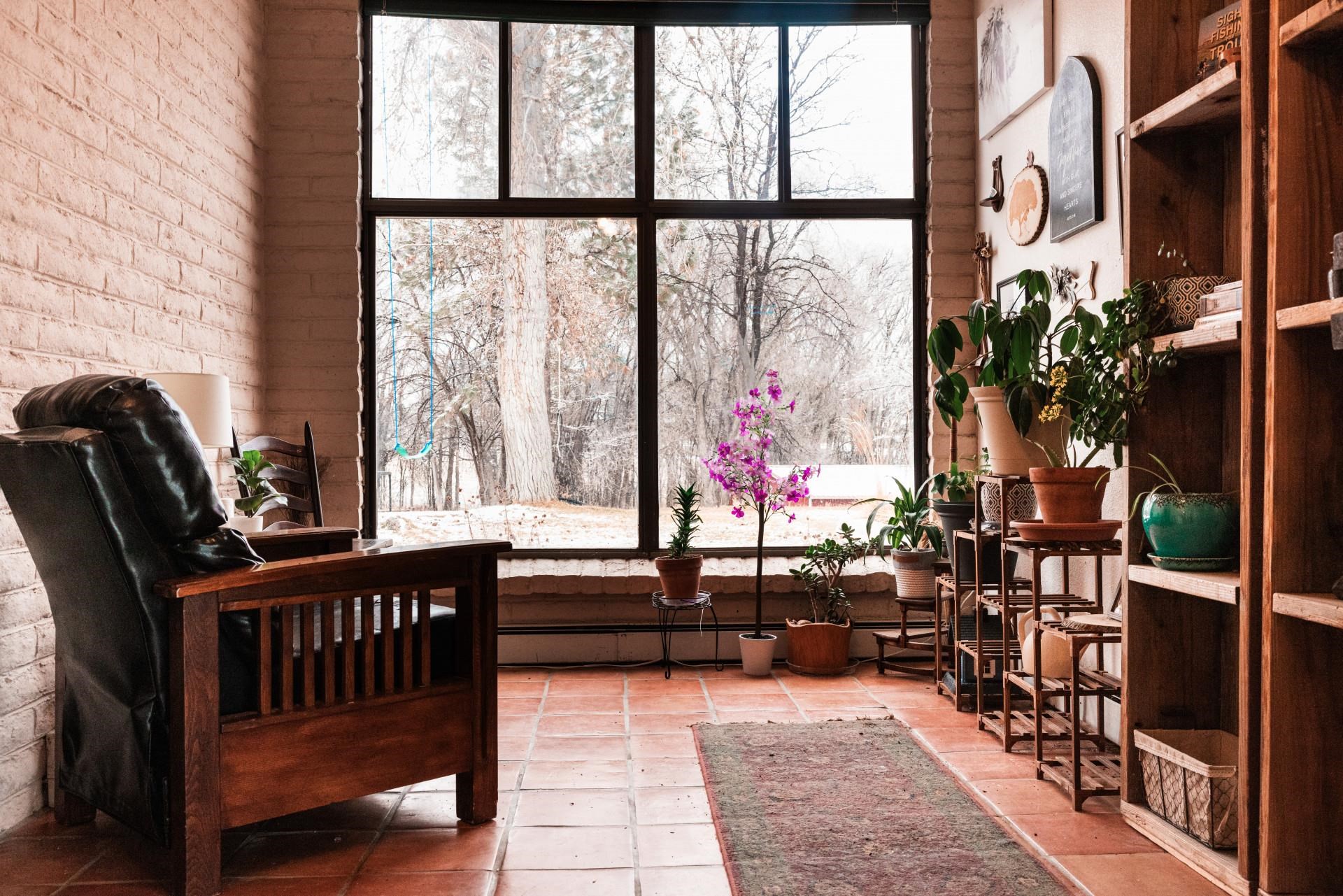 2619 H Road Grand Junction, CO 81506 - Photo 18 of 39 a living room filled with furniture and a potted plant
