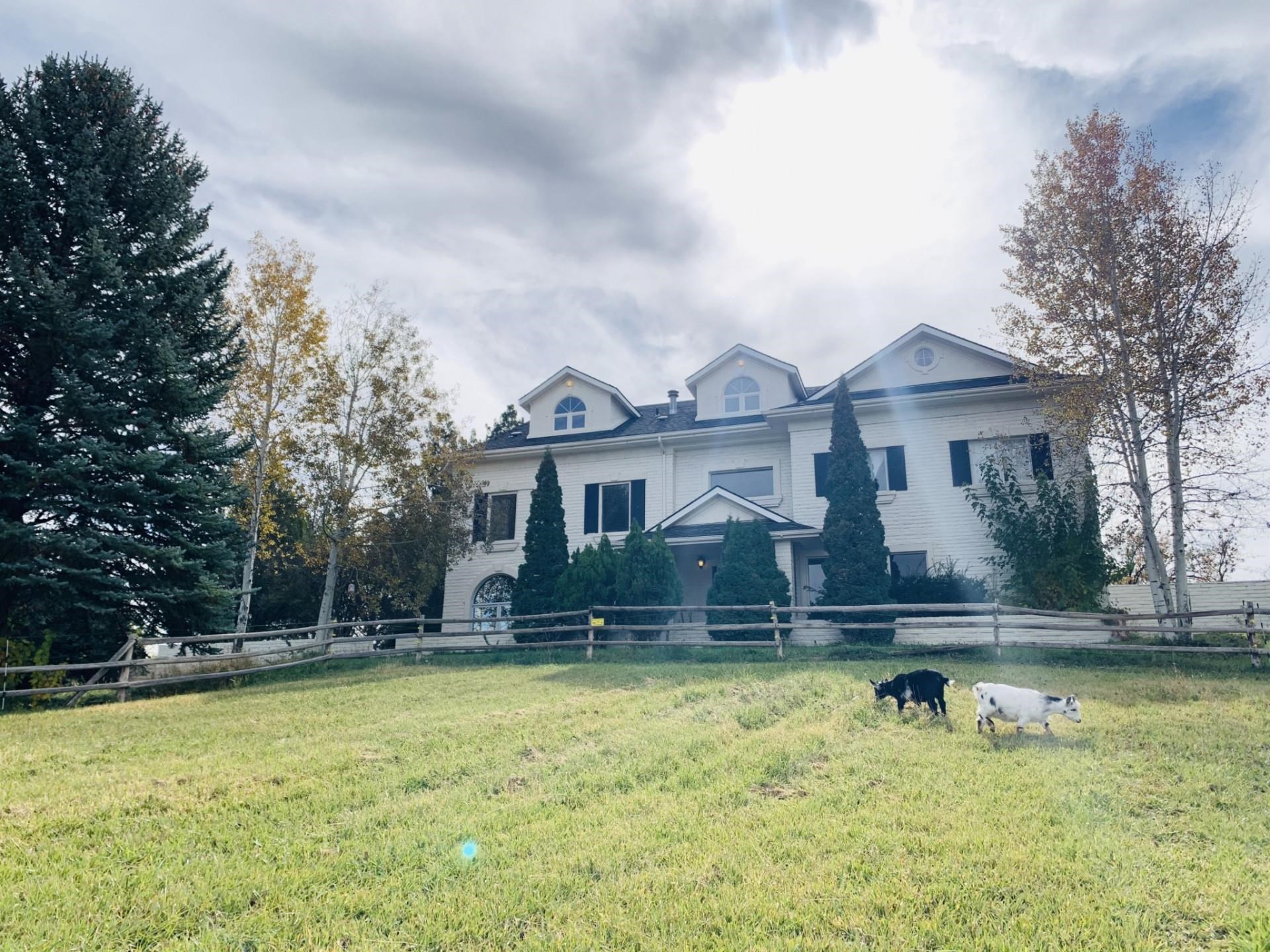 2619 H Road Grand Junction, CO 81506 - Photo 4 of 39 a front view of a house with a yard