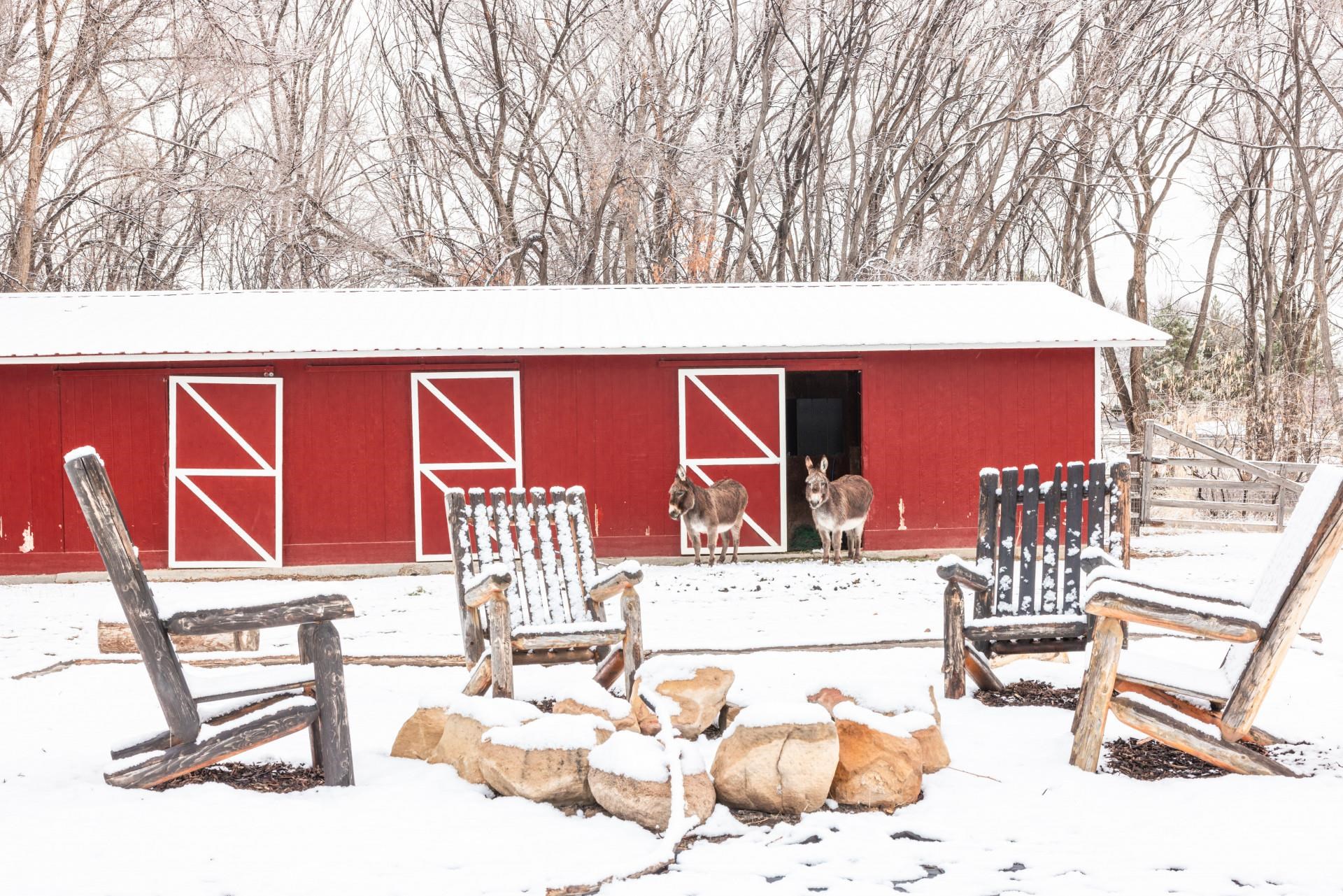 2619 H Road Grand Junction, CO 81506 - Photo 9 of 39 a view of a chairs and table in patio