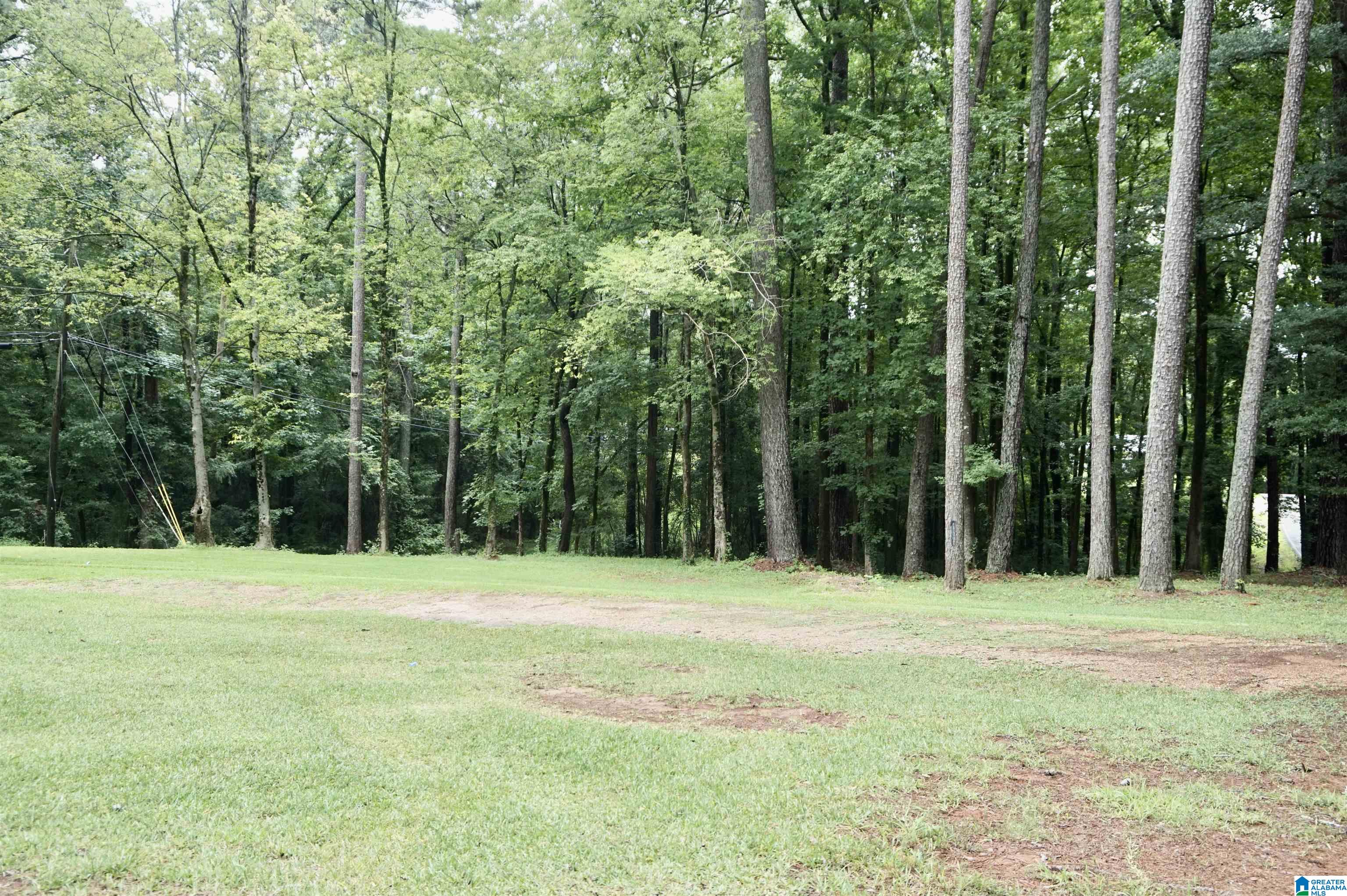 2240 Pawnee Village Road Birmingham, AL 35217 - Photo 47 of 68