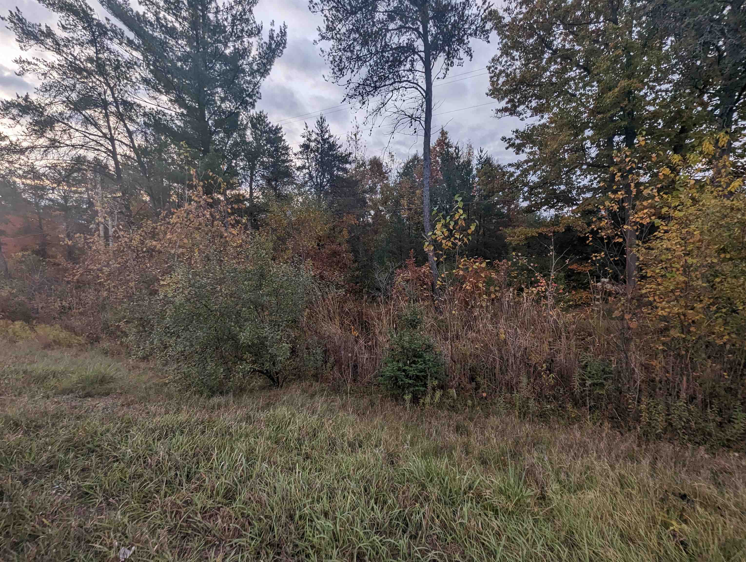 N/a East Huron Road Omer, MI 48749 - Photo 2 of 5