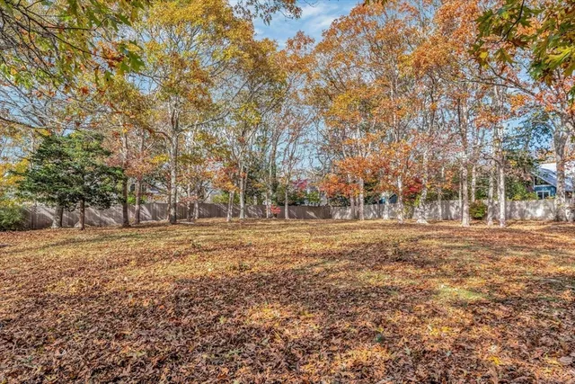 a view of a field with trees in background