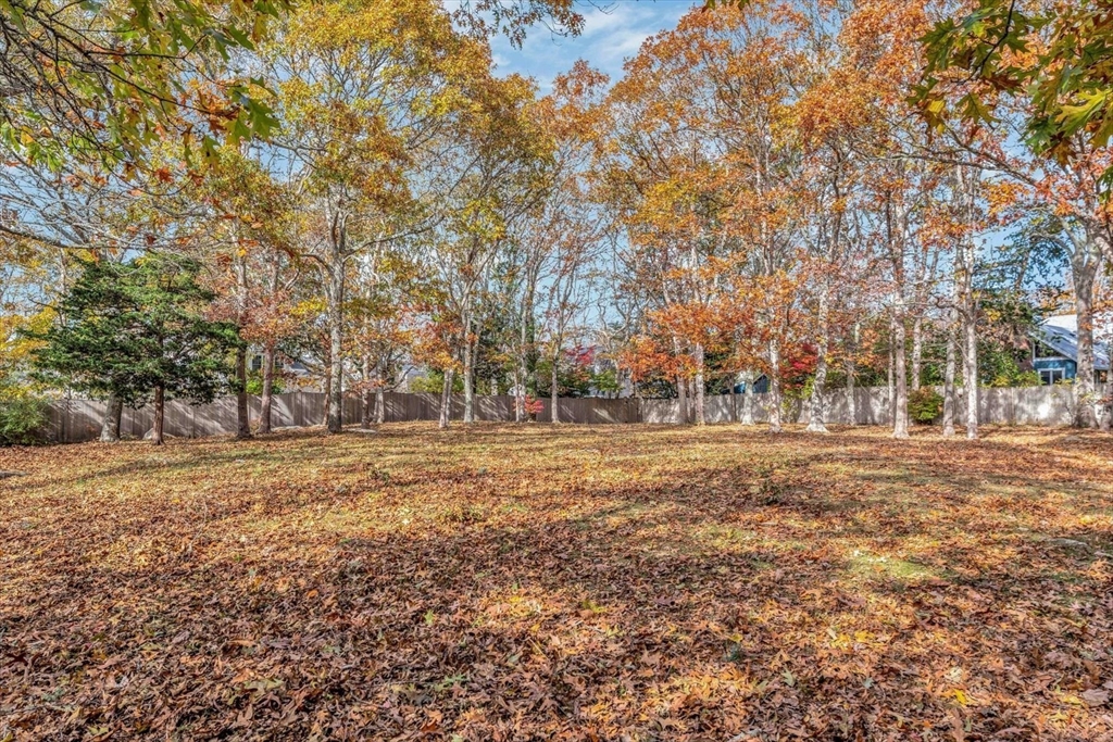 a view of a field with trees in background
