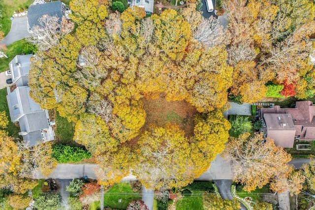 an aerial view of residential house with green space