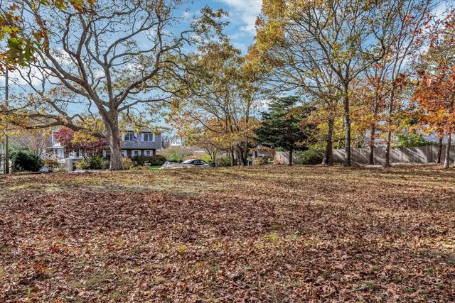 a view of outdoor space with trees