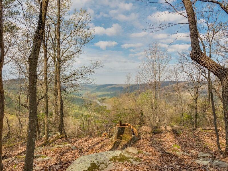 0 Healing Bluff Road Chattanooga, TN 37419 - Photo 5 of 10 Gallery Image 5