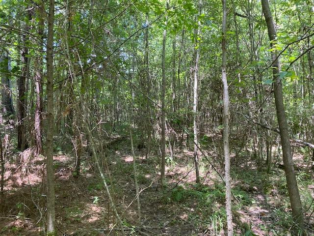 0 Rolling Oak Road, Unit 1 Braxton, MS 39044 - Photo 1 of 10 Photo 1