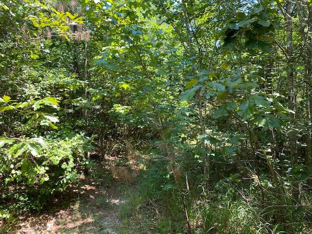 0 Rolling Oak Road, Unit 1 Braxton, MS 39044 - Photo 4 of 10 Photo 4