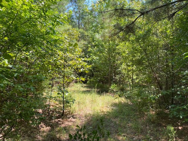 0 Rolling Oak Road, Unit 1 Braxton, MS 39044 - Photo 5 of 10 Photo 5