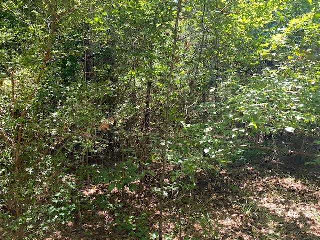 0 Rolling Oak Road, Unit 1 Braxton, MS 39044 - Photo 6 of 10 Photo 6