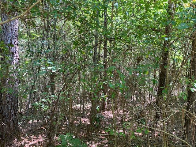 0 Rolling Oak Road, Unit 1 Braxton, MS 39044 - Photo 7 of 10 Photo 7