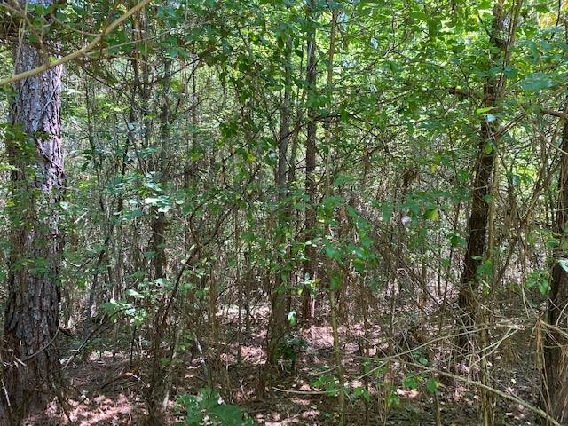 0 Rolling Oak Road, Unit 1 Braxton, MS 39044 - Photo 8 of 10 Photo 8
