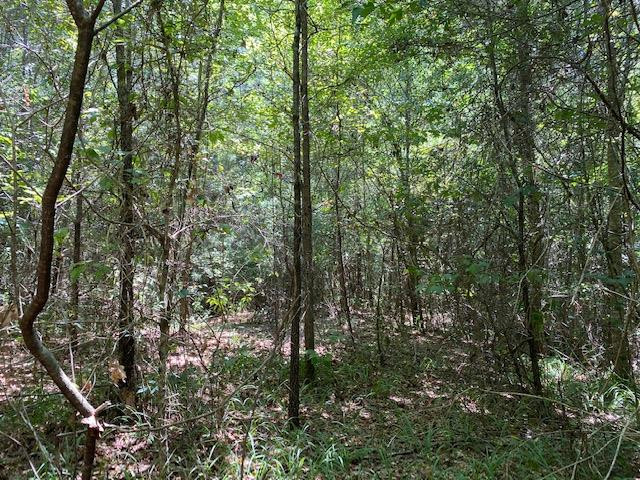 0 Rolling Oak Road, Unit 1 Braxton, MS 39044 - Photo 10 of 10 Photo 10